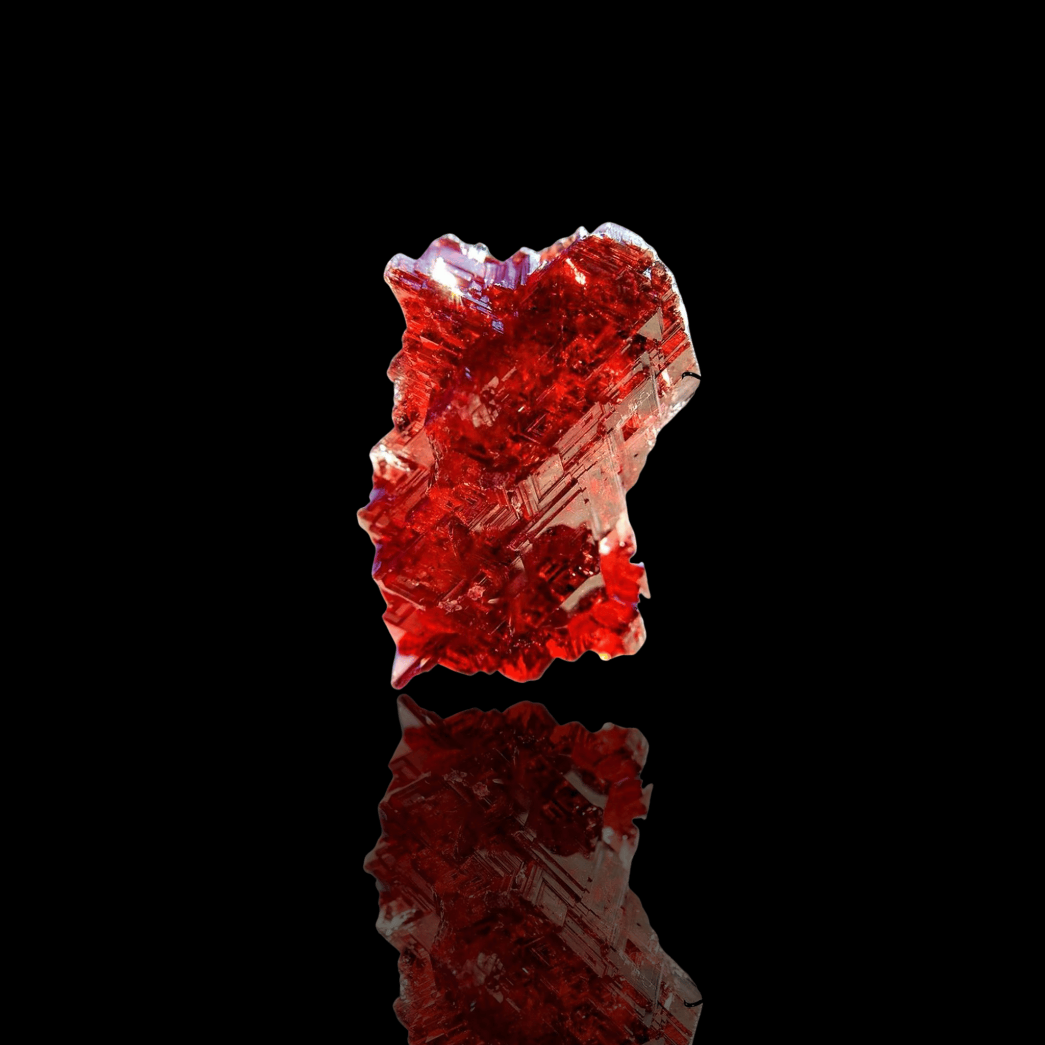 Confidence——Garnet - Nomad Roots Studio