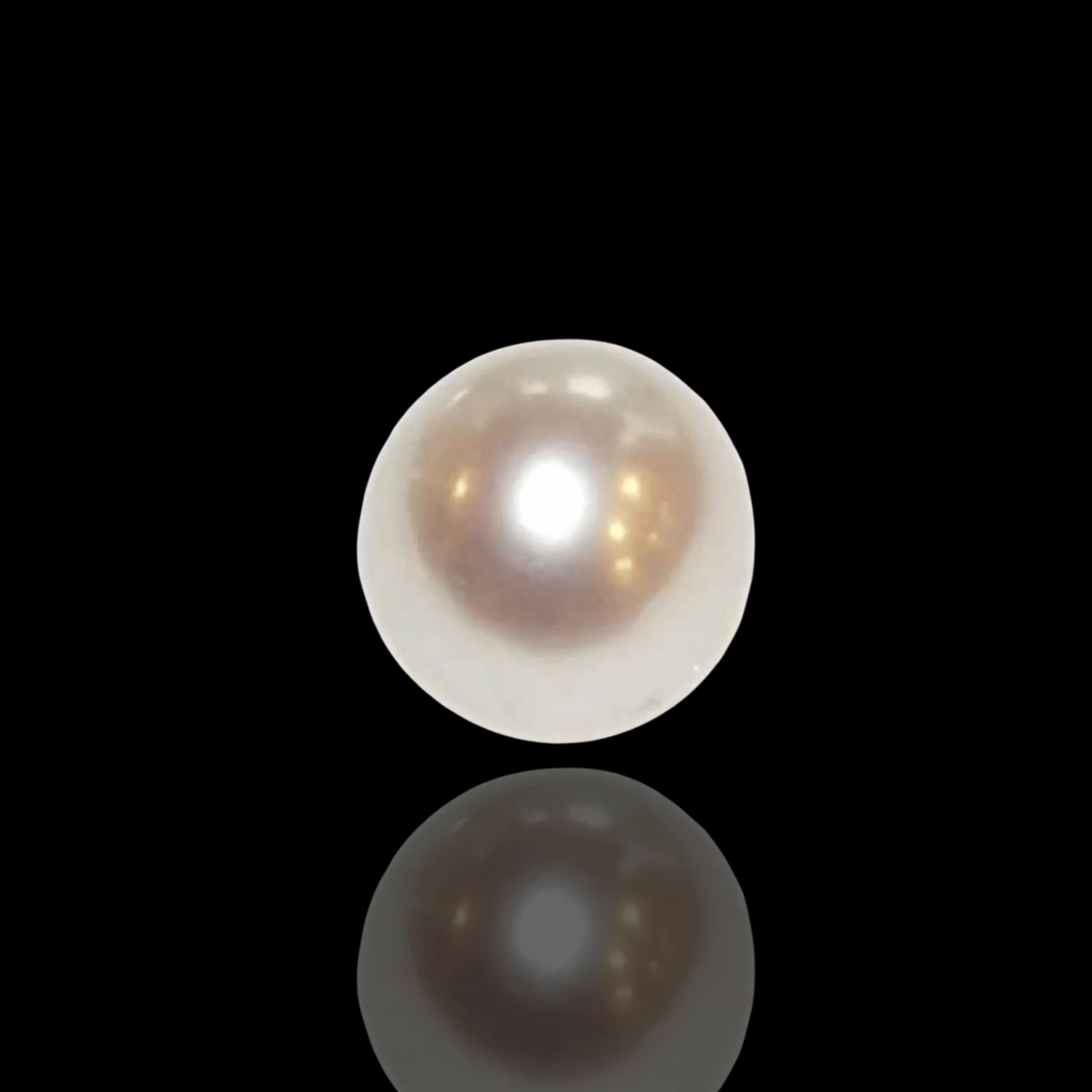 Feminine Power——Pearl - Nomad Roots Studio